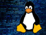 solve any problem related to linux os