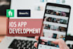 make a professional ios app for you