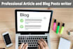 write high quality blog posts and articles  for your website