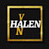 do profesinal modern business logo design