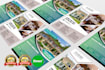 do professional real estate flyer design