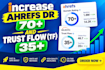 increase ahrefs DR 70 plus and majestic tf 35 plus