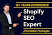 be your shopify seo expert to increase sales