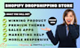 set up shopify store