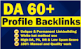 do 350 pr9 USA SEO profile backlinks, link building service