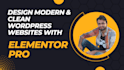 design perfect stunning wordpress website