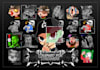 create custom twitch emotes, sub badges, panels and pfp