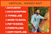 do lightening fast data entry with full accuracy