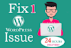 troubleshoot your wordpress website, edit wordpress website