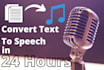 convert text, article to mp3 audio speech in 24rs