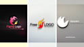 create logo animation professional intro,2d and 3d animation