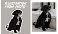 draw an illustration of your pet from a photo