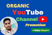 do organic you tube channel promotion