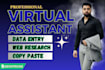 be your virtual assistant for data entry and web research