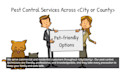 create a pest control animation video for your business