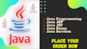 make your java, jsf, jsp, servlets programming projects