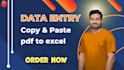do data entry, copy paste and pdf to excel