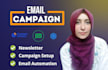 manage your campaign on mailerlite, sendinblue, constant contact, getresponse