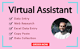 do accurate data entry and web research