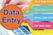 do fastest data entry, excel data entry in 24 hours