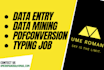be your data entry expert