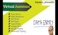 be your virtual assistant for data entry, data mining, copy paste, web research