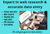 be your professional virtual assistant  for data entry, and web research