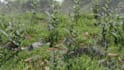 do your 3d environment