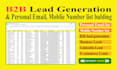 do b2b lead generation and email scraping
