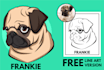 draw your pet into an amazing potrait