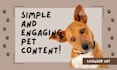 write pet related organic articles especially for dogs and cats