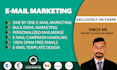 send bulk email blast, email campaign, 1by1 email marketing