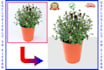 do clipping path, background removal for amazon product listing images