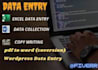 word data entry excel copy writing conversions