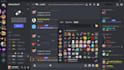 set up a discord serve for you