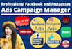 be your professional facebook and ig ads campaign manager