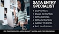 do excel data entry  copypaste and email scraping