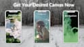 make a aesthetic, vintage or custom  spotify canvas