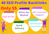 do high quality website SEO with contextual backlinks