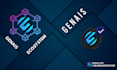 design professional brand visuals, and promo graphics