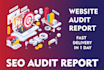 provide expert website SEO audit report