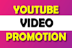 do professional and fast youtube SEO video promotion
