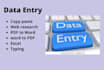 do data entry, copy paste, web research and excel data entry