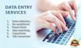 do data entry, copy paste job