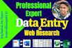 do perfect data entry, web research, and copy past