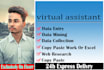 data entry, copy paste, web research and excel data entry