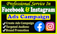 set up and manage high converting facebook and instagram ads campaign