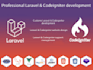 develop responsive website using latest laravel or codeigniter