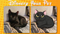draw your cat, dog, your pet into disney cartoon portrait