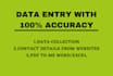 do professional data entry work in one day